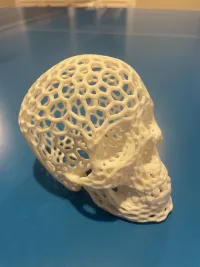 Voronoi-style Skull with no supports-2