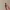 Couteau à gravité jouet (Aucune quincaillerie nécessaire)