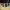 lego rodian head starwars