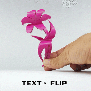 Text Flip - Lily 3d model
