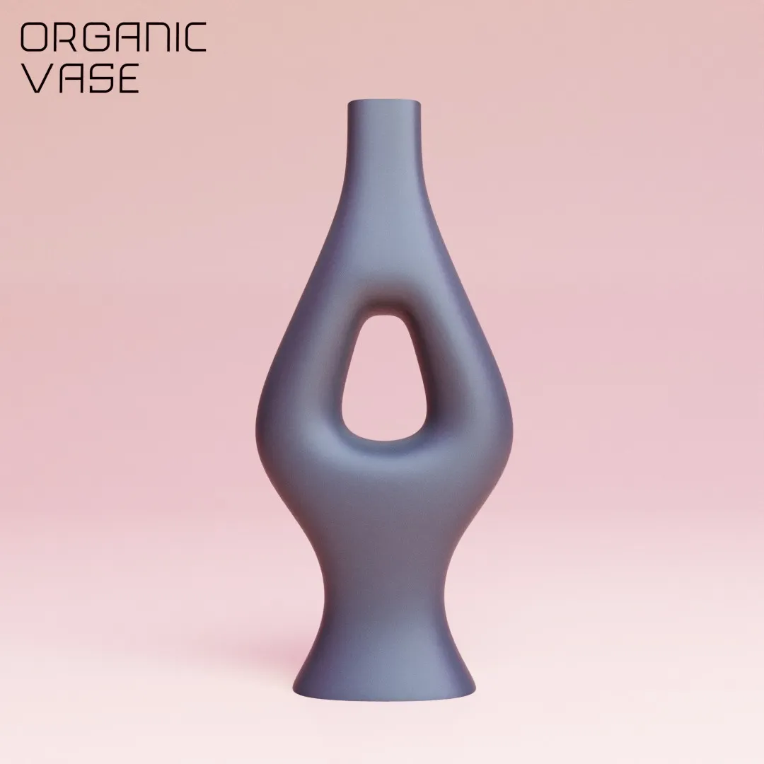 beautiful organic vase for home decoration