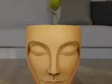 Serenity Face Planter 3D Print Model-1
