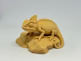 变色龙-1