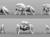 Giant Jumping Spiders-1