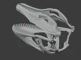 Acanthodes Skull-3