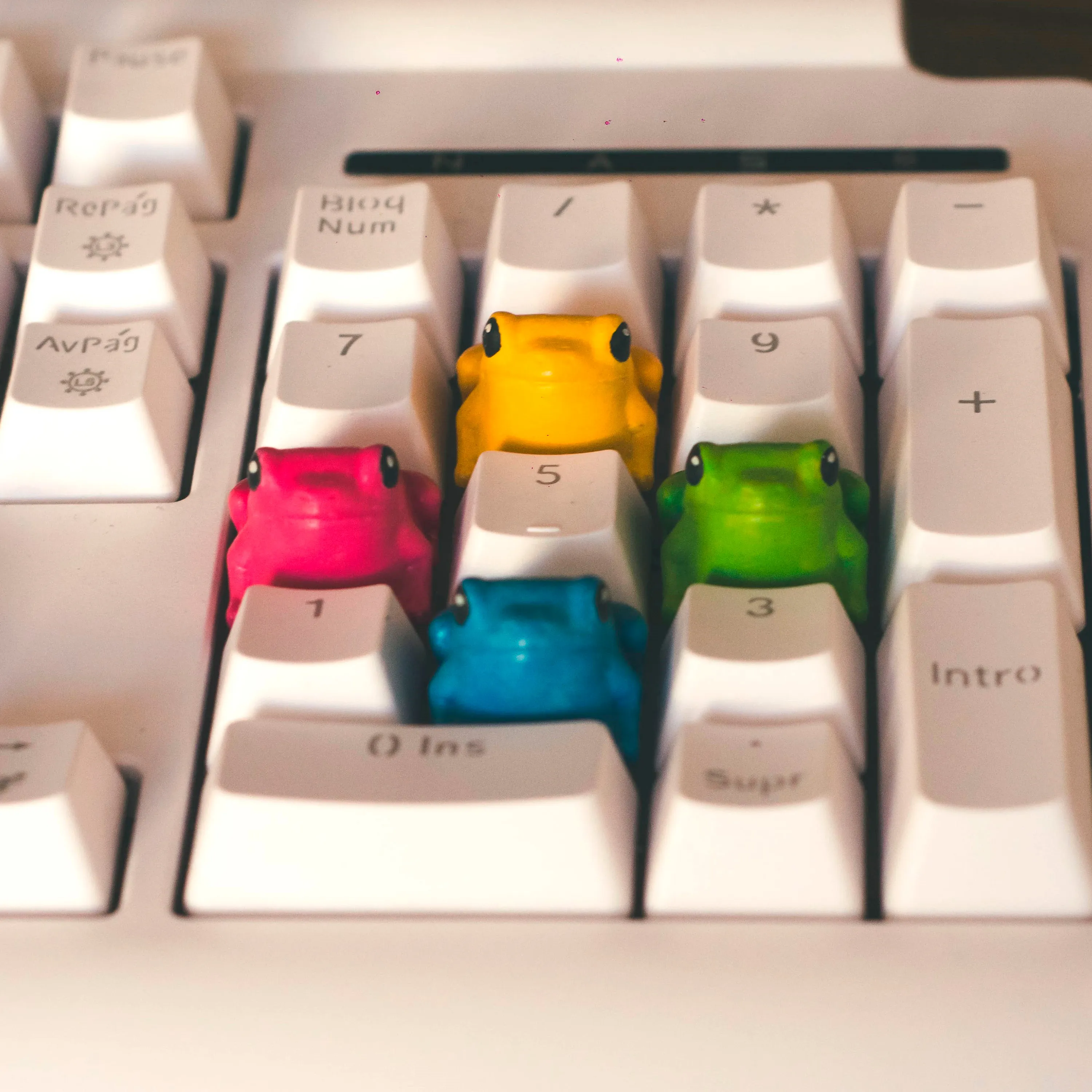 Frog keycap - Mechanical keyboard