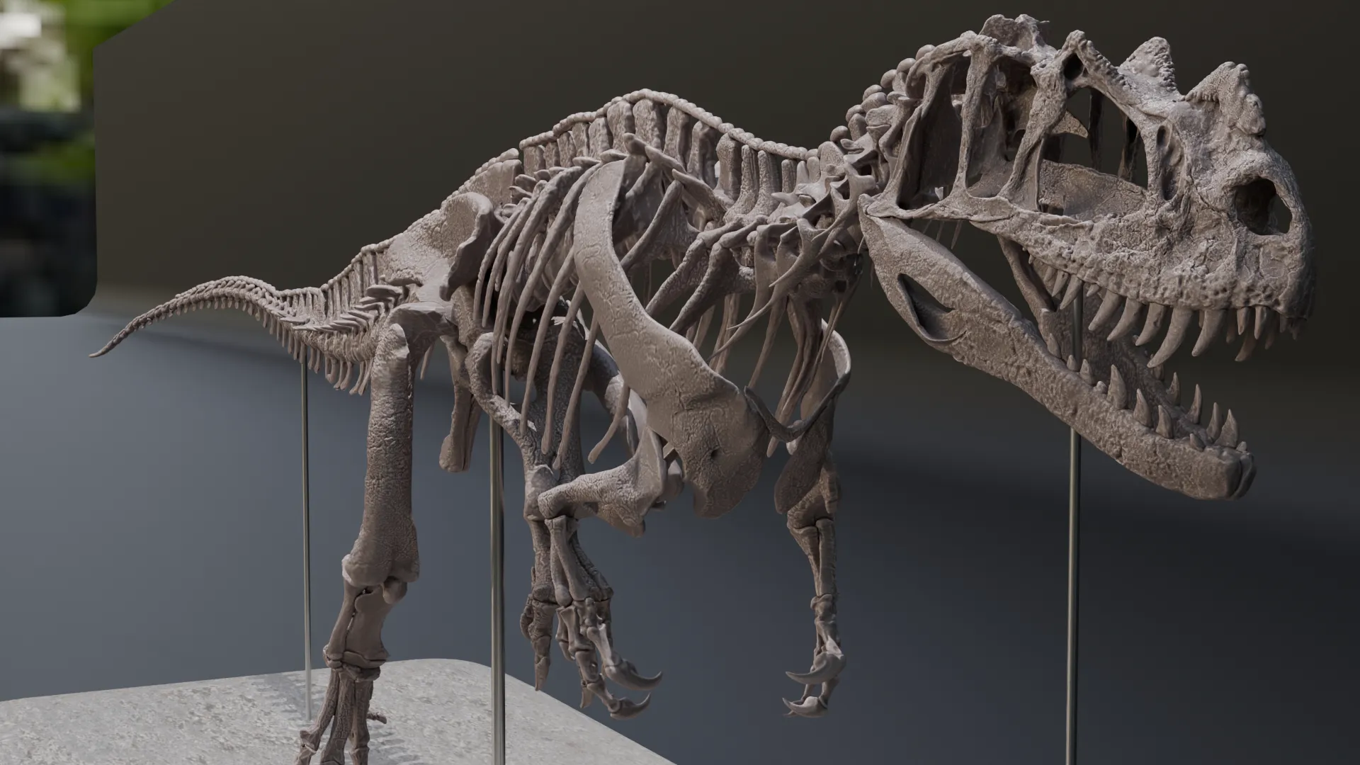 Ceratosaurus nasicornis skeleton