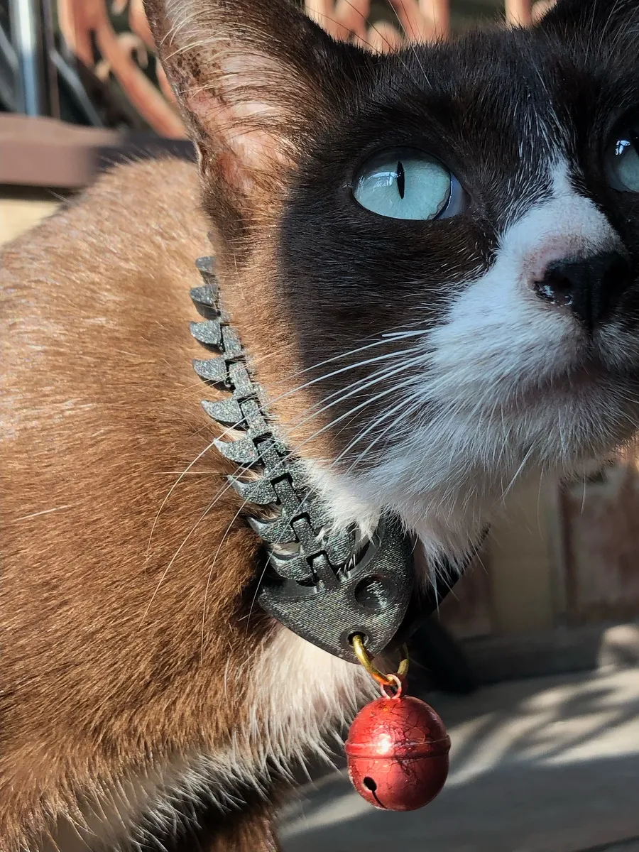fish bone to cat collar