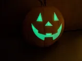 Mr. Pumpkin Head-8