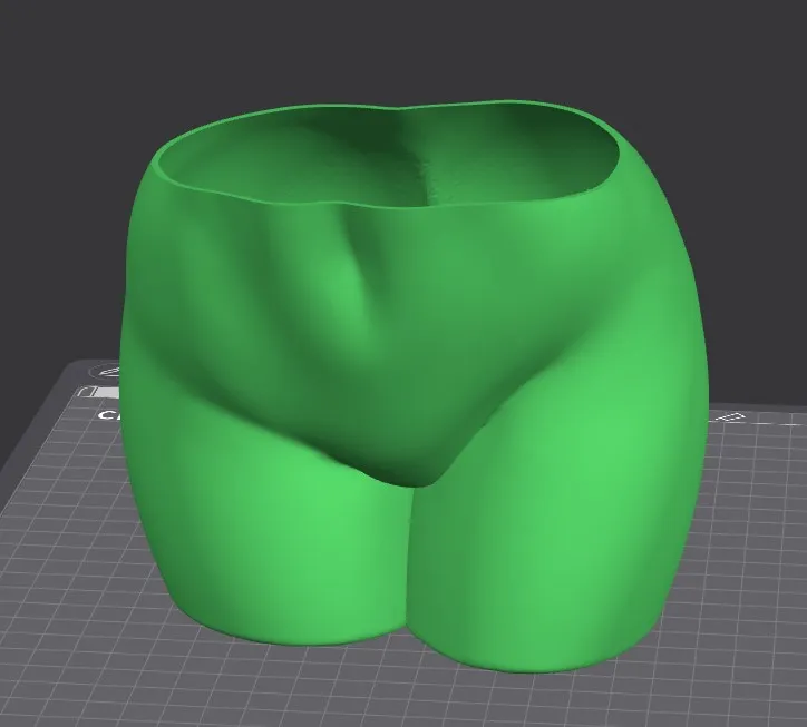 Lower Bum Plant Pot