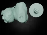 Dwarf head-2
