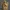 mini nativity scence with angel for desk - table - tree