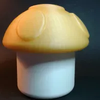 super mushroom container-4