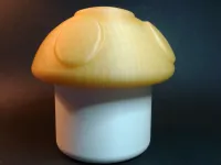 super mushroom container-4