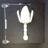 Flexi Duck Print In Place Multiparts With Gift Box-7