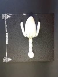 Flexi Duck Print In Place Multiparts With Gift Box-7
