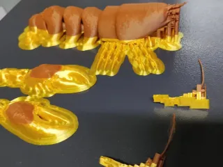 [EXCLUSIVE] The Lobster Toy Creation Kit