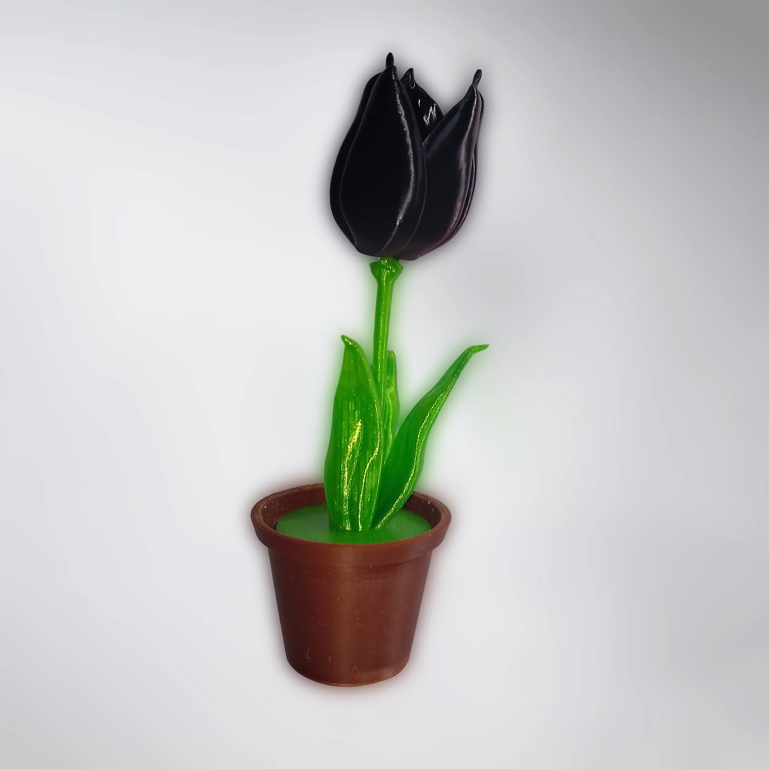 3d Printer Files 3mf File Tulip In A Pot Creality Cloud