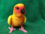 Conure-8