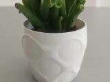 Pot Interior Decor H-2