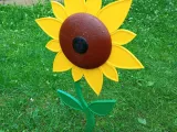 Sunflower-0