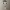 Funko Runner