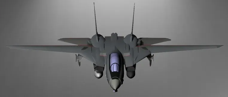Grumman F-14D Tomcat 3D Printing STL File