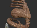 Aliens Romulus Face Hugger 3D DIGITAL DOWNLOAD-3