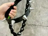Collare per cani feroci (TPU)-1