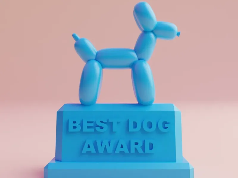 best dog trophy award for your little friend