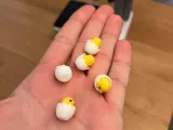 Mini Easter Hatching Chicken-1