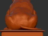 Exotic bully sitting-2