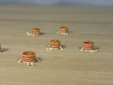 Mini Pancakes Buddy-2