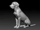 Great Dane dog model - German Mastiff dog statue - 3D print-2