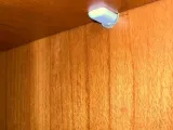 Shelf Pin-8
