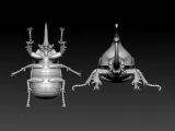 Dynastes hercules model - statue - 3D print-2