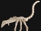 Articulated Facehugger Alien Fan Art-3