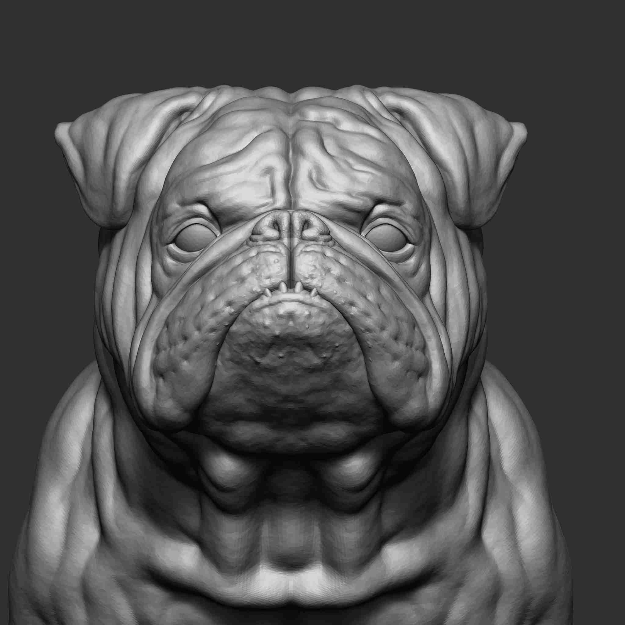 Bulldog | 3D models download | Creality Cloud