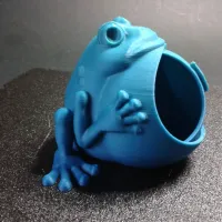 Frog keeps jewelry (not support)-7