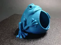 Frog keeps jewelry (not support)-7