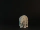 Low Poly Bear-1
