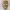 Loki Mask – Iconic Prop Replica from The Mask