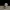 Couple Bear-Standing_eating_Yier