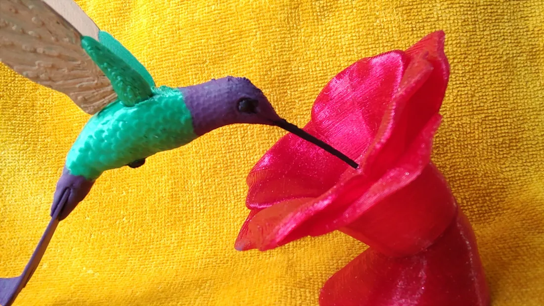 Colibrí