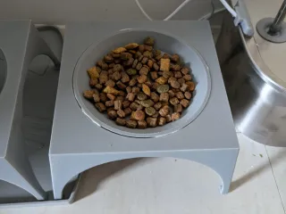 Cat Plate-Bowl Riser
