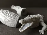 Nile crocodile-4