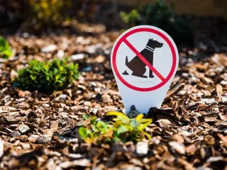 Dogs are not allowed, Prohibition
