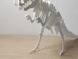T-Rex Kit Card-2