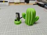 Cactus-shaped SD Card, TF Card, and USB Flash Drive Storage-2