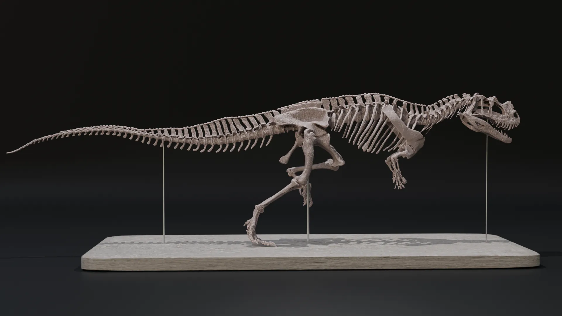 Ceratosaurus nasicornis skeleton